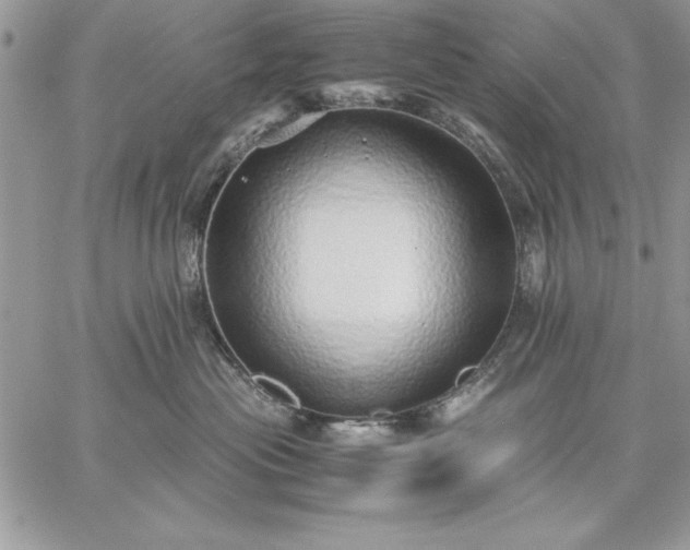 X0000059090477200510172059