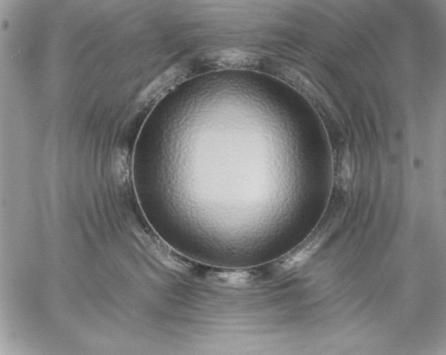 X0000059090478200510172059