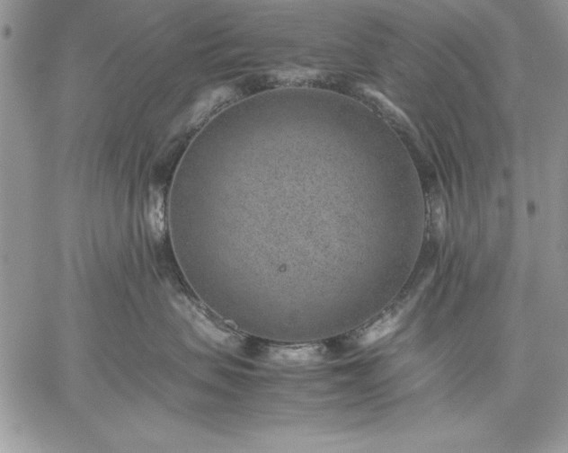 X0000059090479200510172059