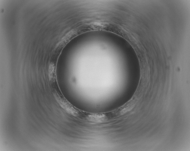 X0000059090480200510172059