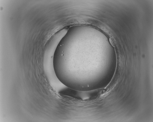 X0000059090481200510172058