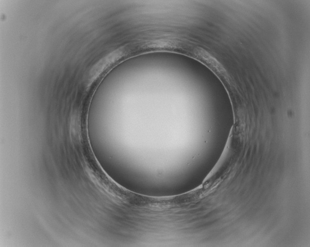 X0000059090482200510172058