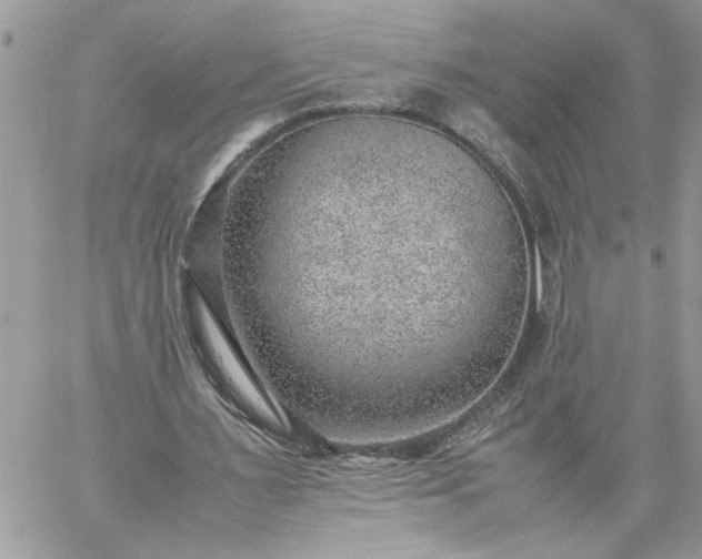 X0000059090483200510172058