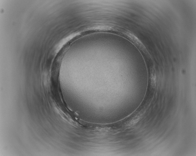 X0000059090484200510172058