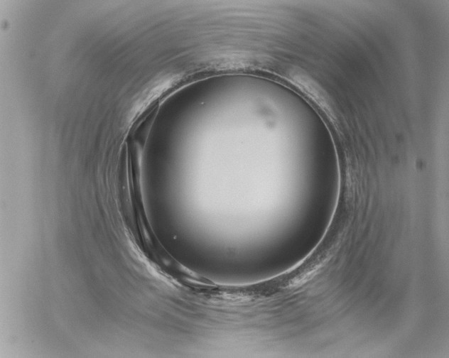 X0000059090485200510172058