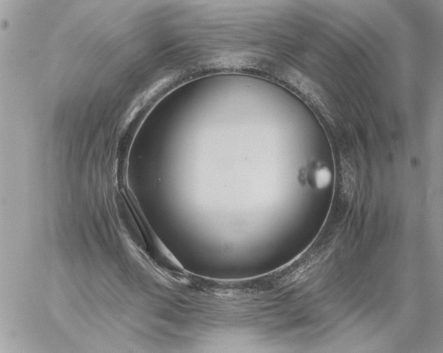 X0000059090486200510172058