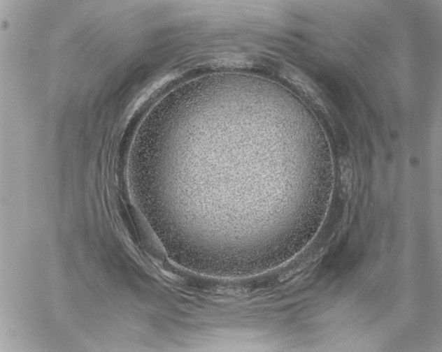 X0000059090487200510172058