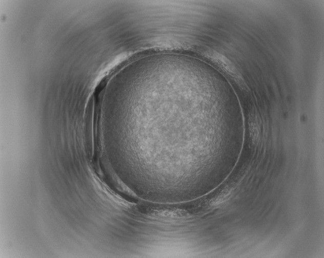 X0000059090488200510172058