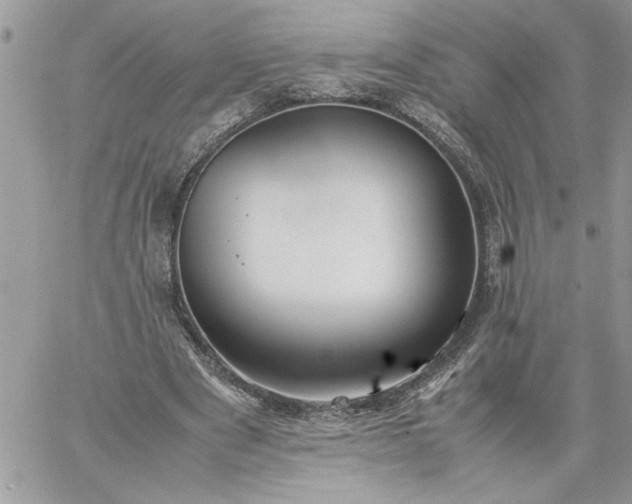 X0000059090489200510172058