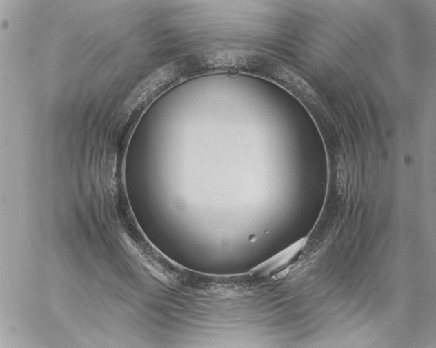 X0000059090490200510172058