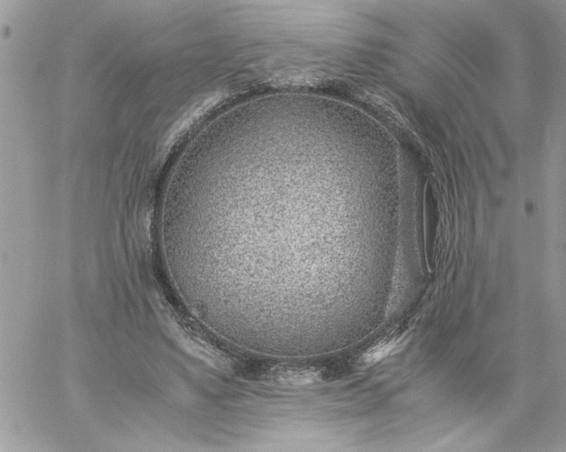 X0000059090491200510172058