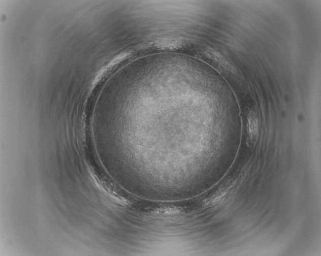 X0000059090492200510172058