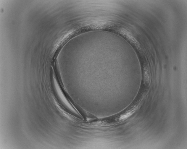 X0000059090493200510172058