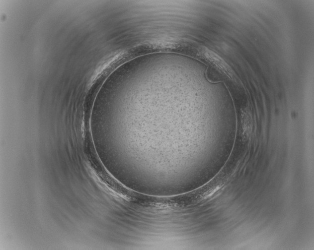 X0000059090494200510172058