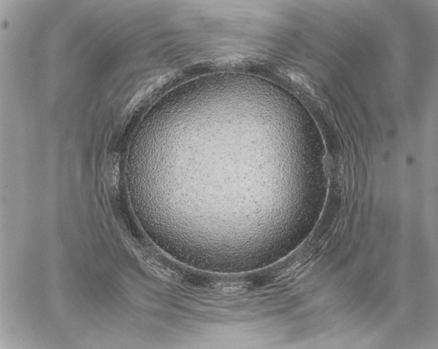 X0000059090495200510172058