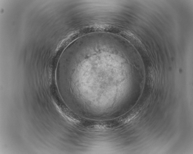 X0000059090496200510172058