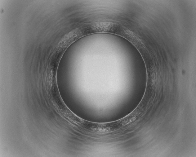 X0000059090498200510172058