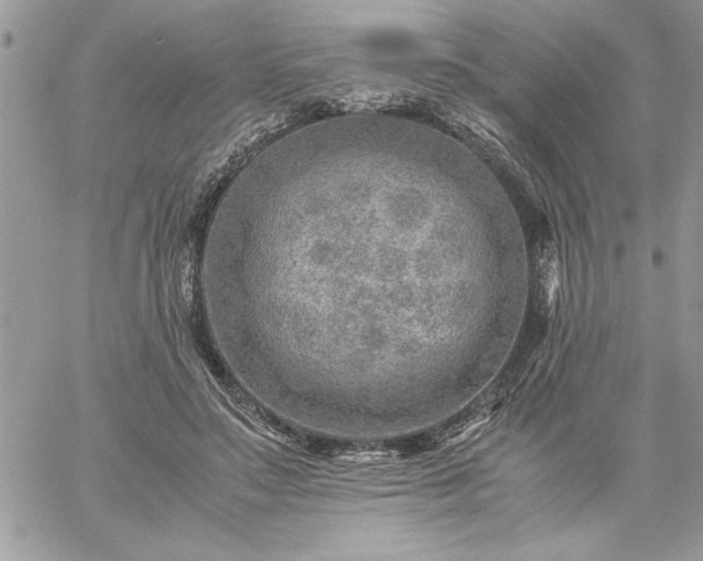 X0000059090499200510172058