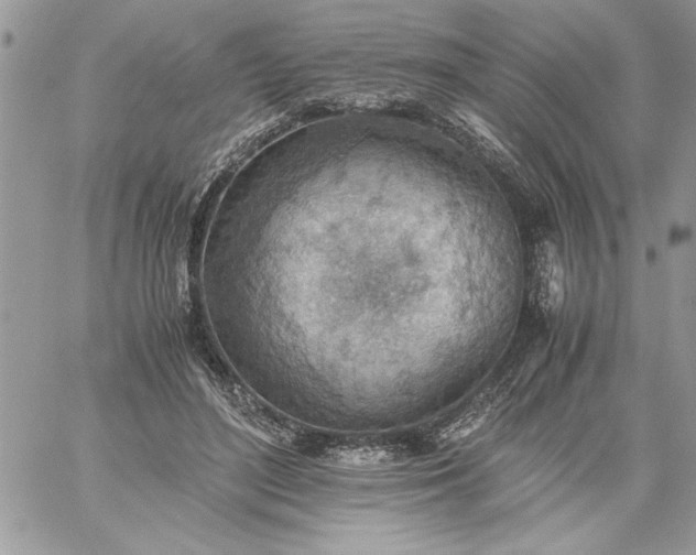 X0000059090500200510172058