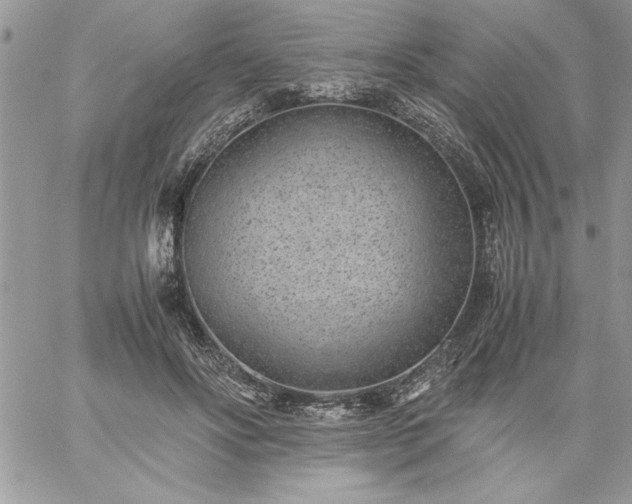 X0000059090502200510172058