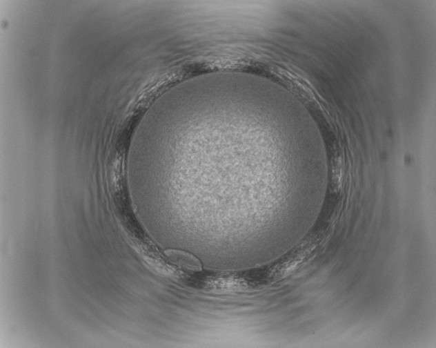 X0000059090503200510172058