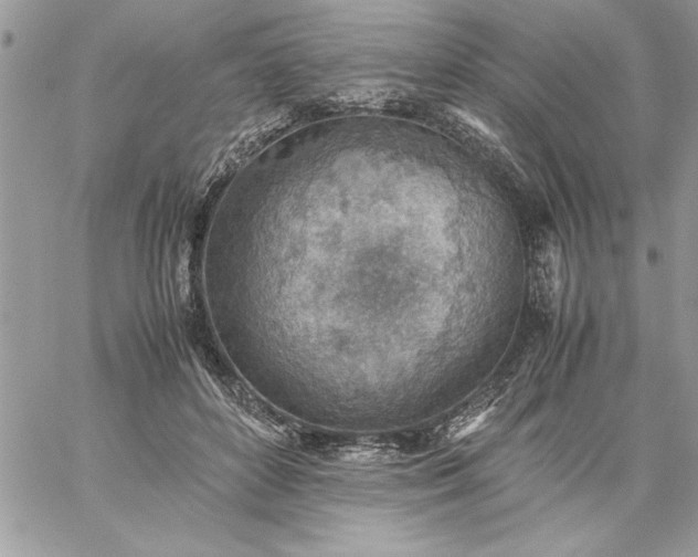 X0000059090504200510172058