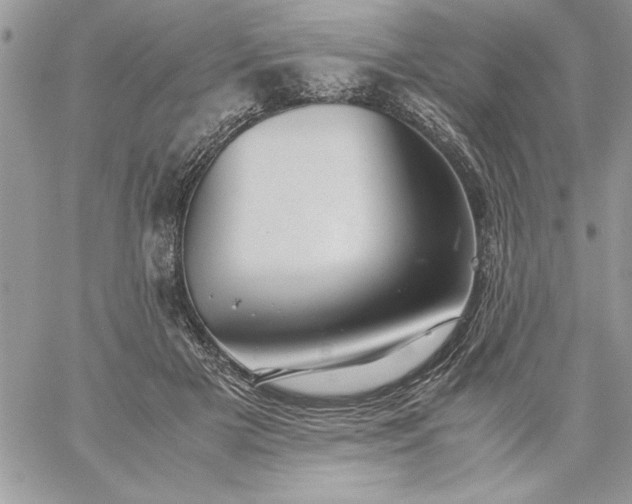 X0000059090505200510172058