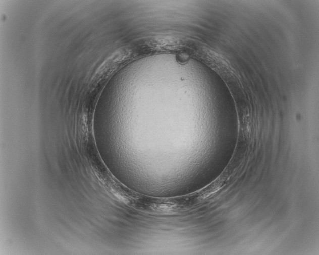 X0000059090506200510172058