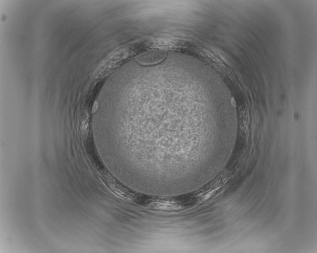 X0000059090507200510172058