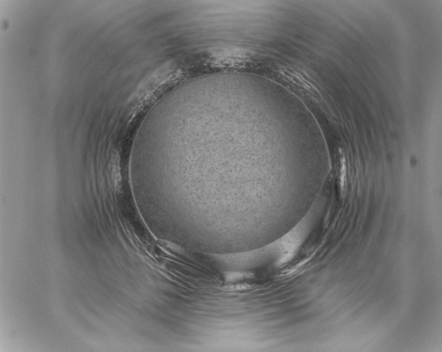 X0000059090508200510172058