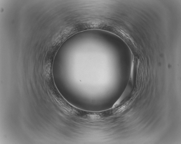 X0000059090509200510172058