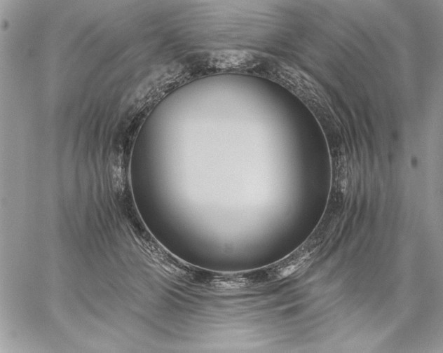 X0000059090510200510172058