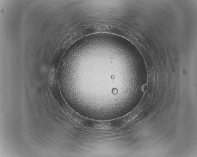 X0000059090511200510172058