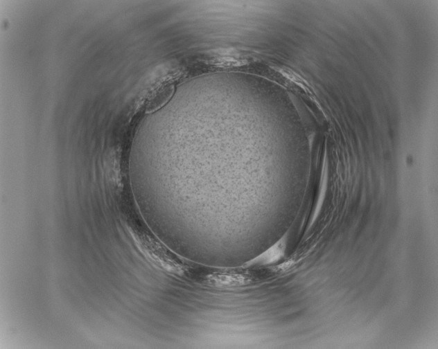 X0000059090512200510172058