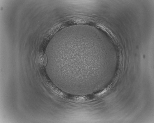 X0000059090513200510172058