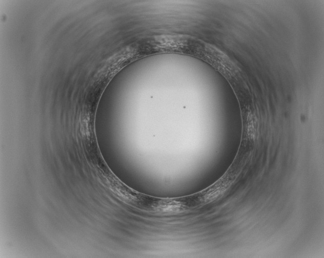 X0000059090514200510172058