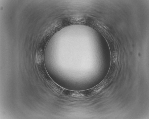 X0000059090515200510172058