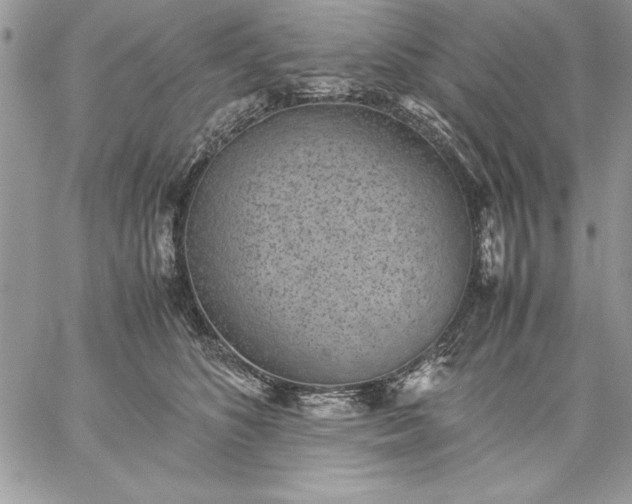 X0000059090516200510172058