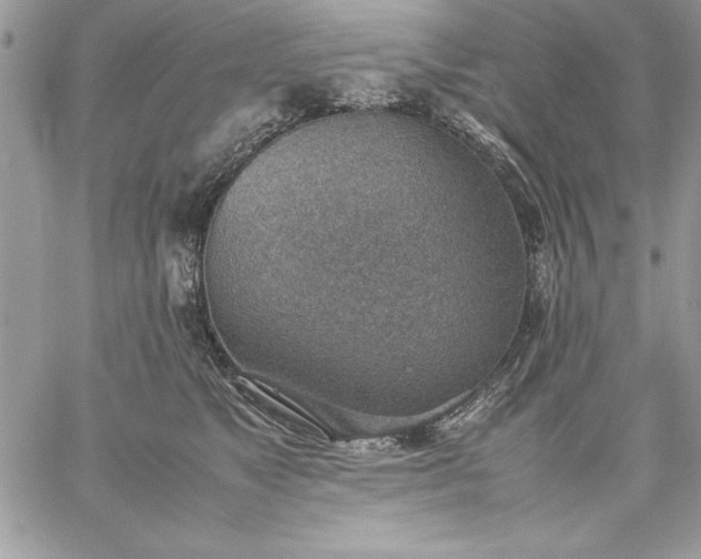 X0000059090517200510172058