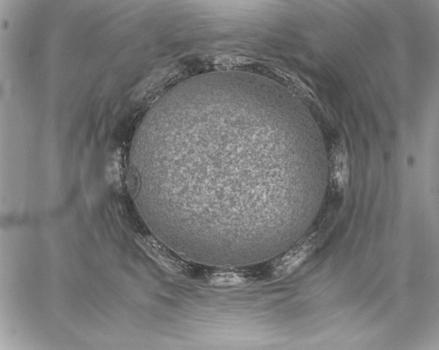 X0000059090519200510172058