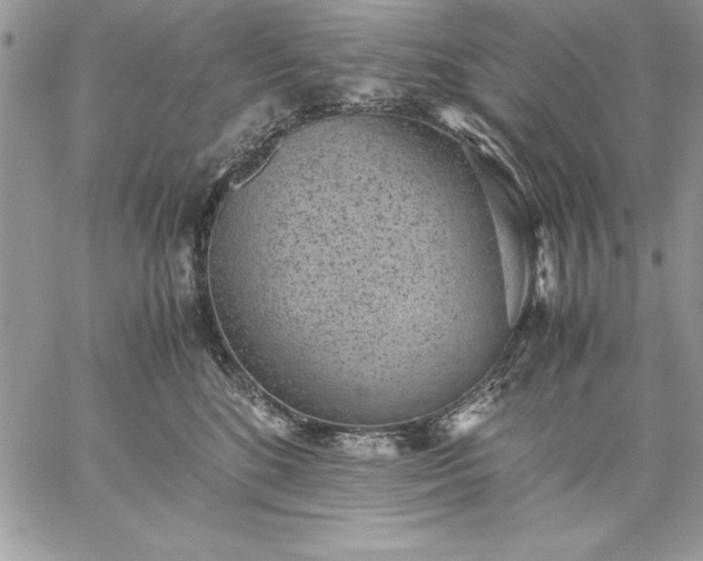 X0000059090520200510172058