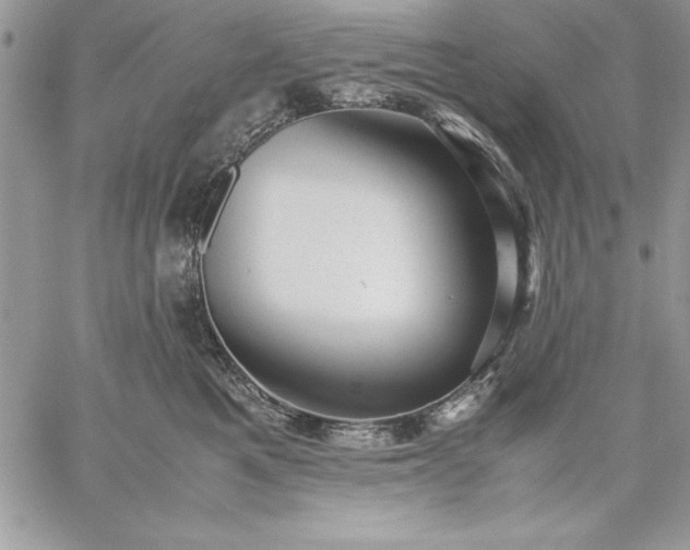 X0000059090521200510172058