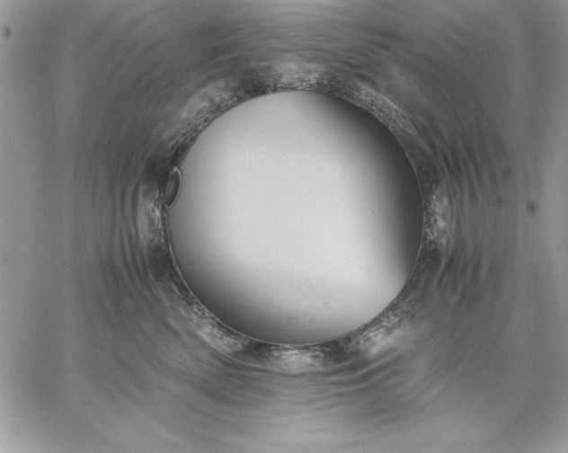 X0000059090522200510172058