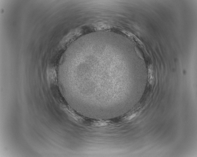 X0000059090523200510172058