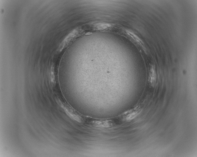 X0000059090524200510172058