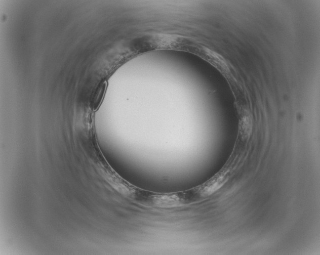 X0000059090525200510172058