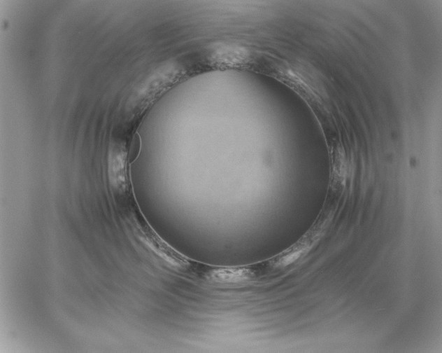 X0000059090526200510172058