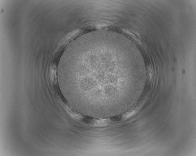 X0000059090527200510172058