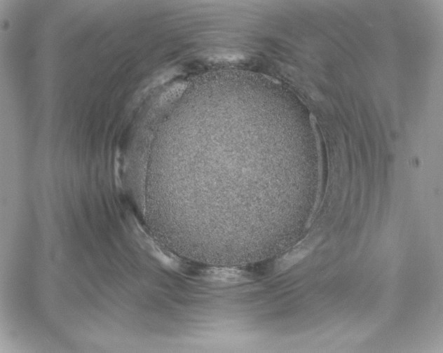 X0000059090528200510172058