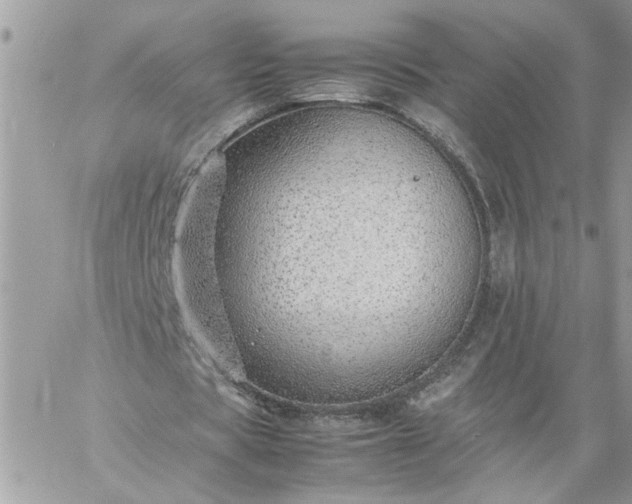 X0000059090529200510172057